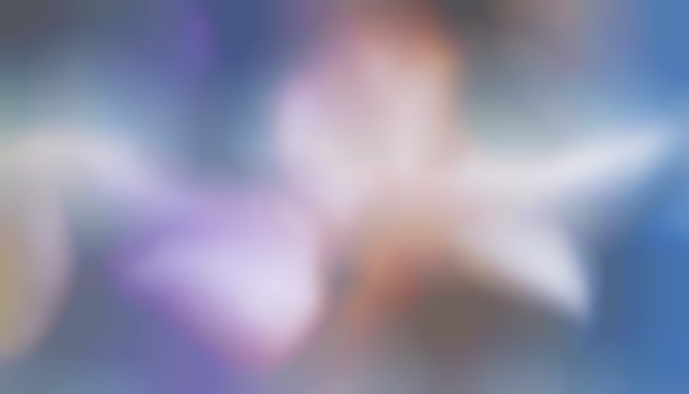 Exploring The Evolution Of Virtual Companions In Digital Media